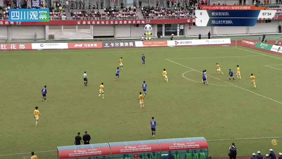 早已成了两 早已成了两